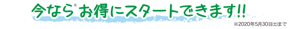 今ならお得にスタートできます